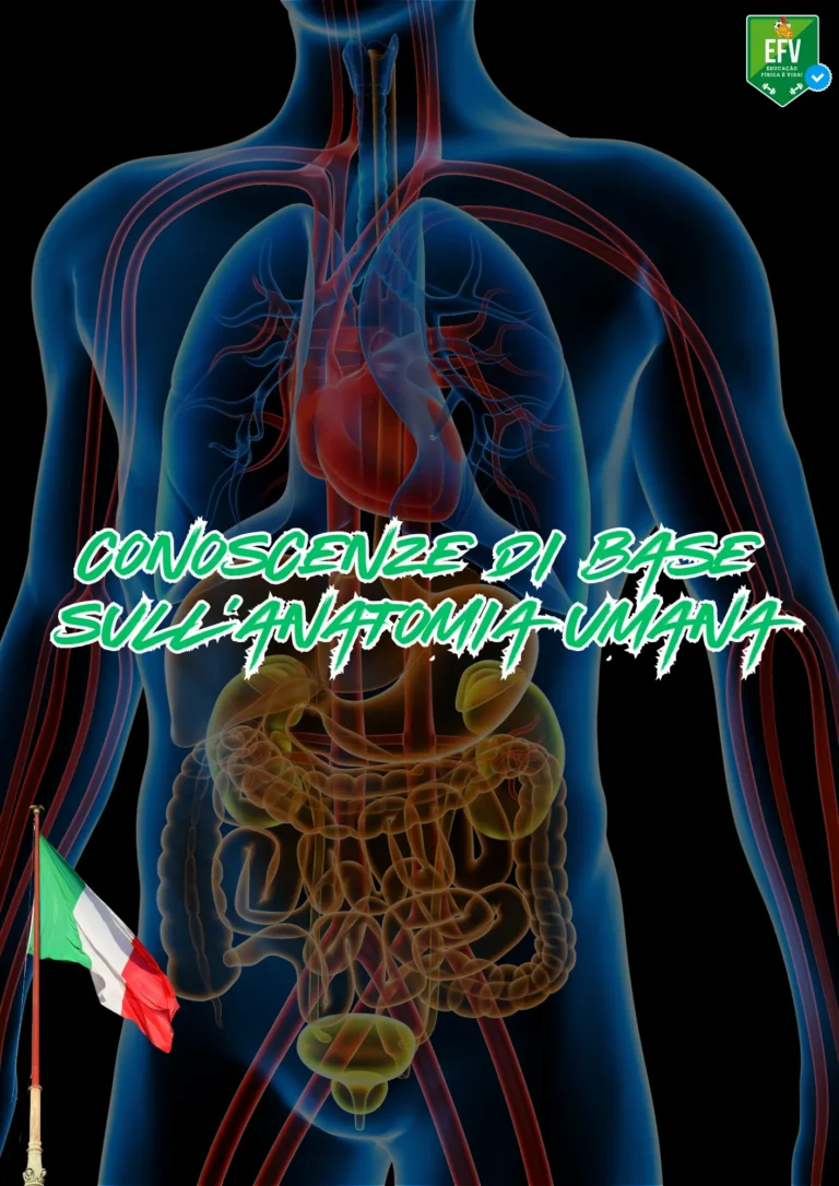 ANATOMIA HUMANA